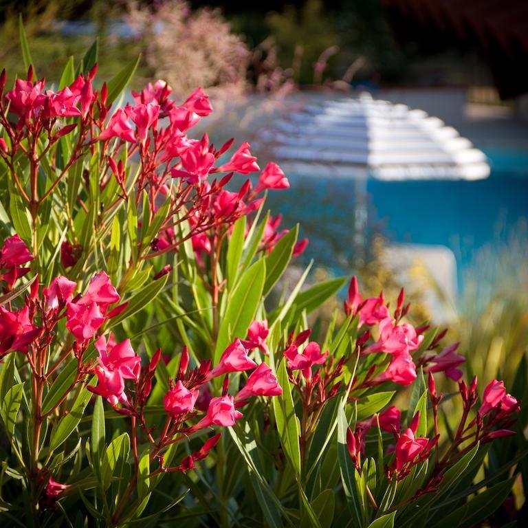 La Chataigneraie Bed & Breakfast Sahorre Exterior photo