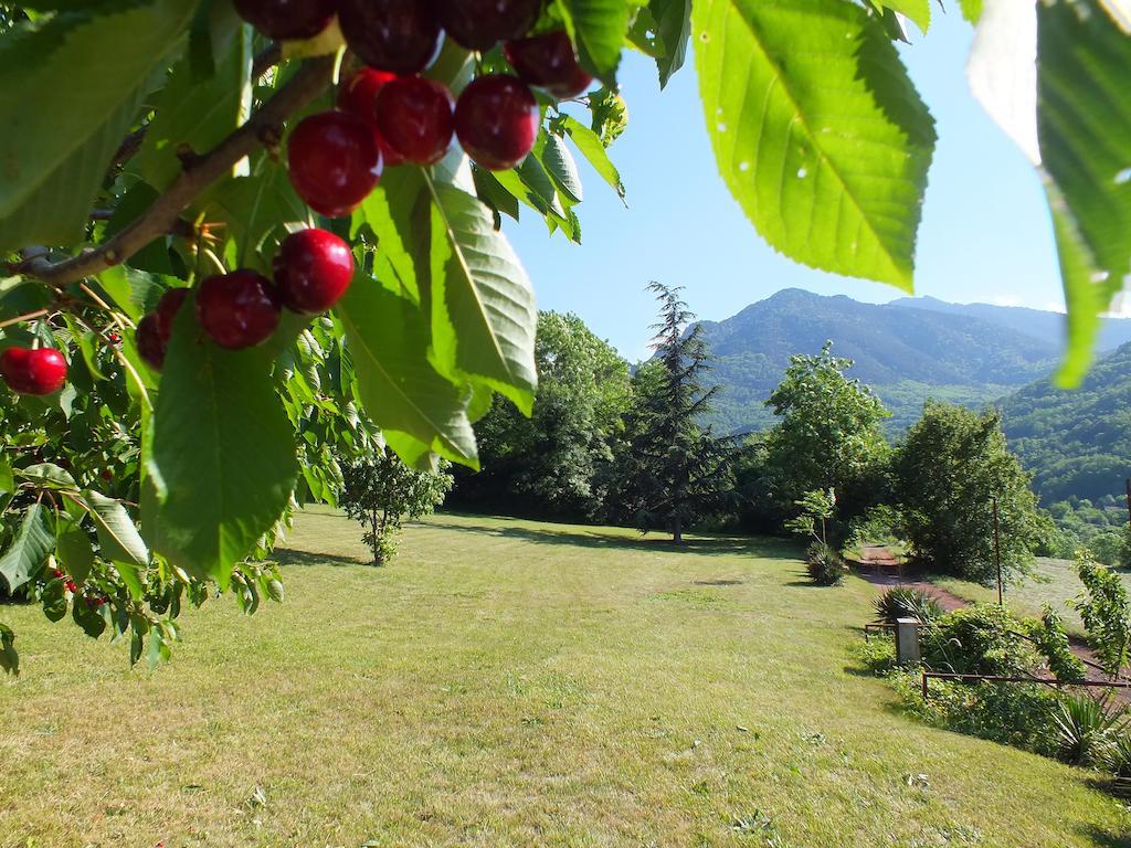 La Chataigneraie Bed & Breakfast Sahorre Exterior photo
